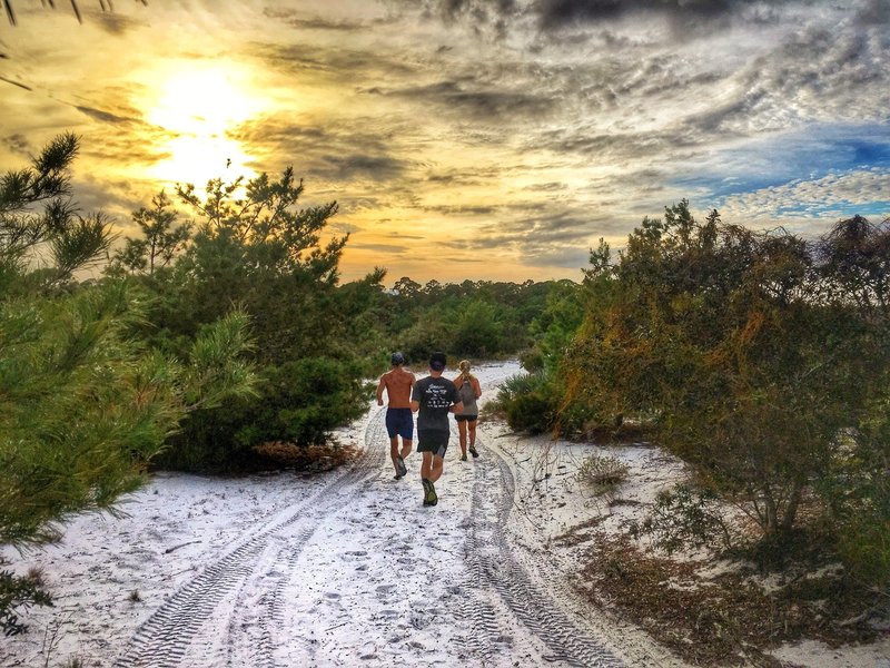 Running the ancient sand dunes of Jupiter Ridge Natural Area at sunset