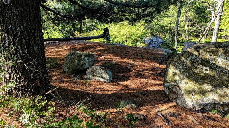 A great break spot on Racoon Brook Hills Trail in Harriman State Park