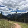 View west from Deer Mountain connectors loop.