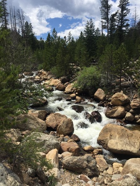 Fall River, just off the Deer Mountain connector trail. Mid-July 2018