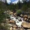 Fall River, just off the Deer Mountain connector trail. Mid-July 2018