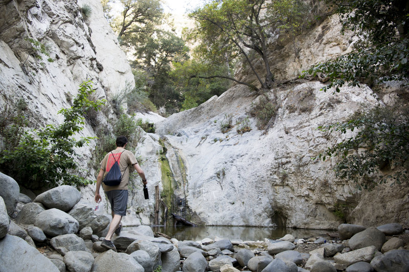 Switzer Falls in the summer