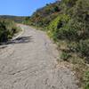 Steep uphill with clear trail