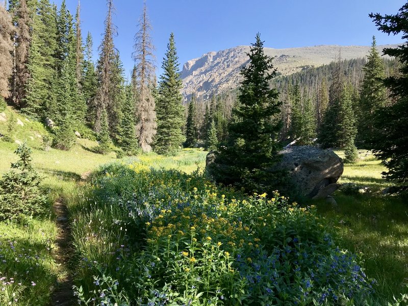 Looking west, northwest toward Mummy Mountain