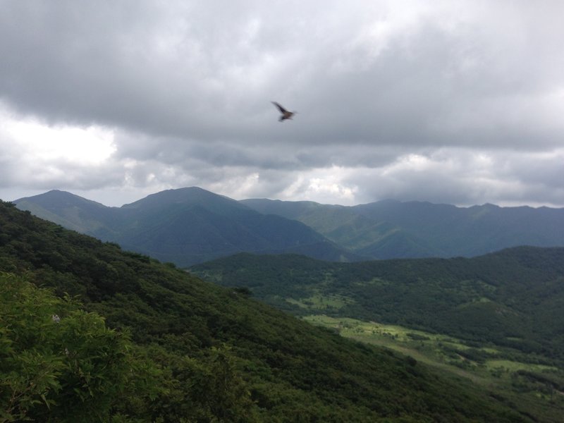 Viewing for Alps Youngnam from Mt. Jaeyak