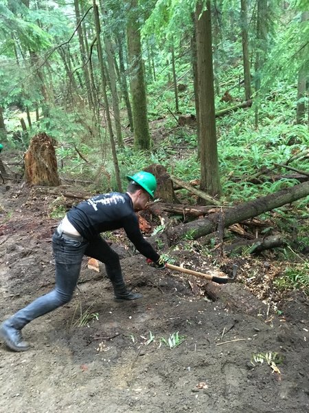 My brother cutting up a log on the trail.