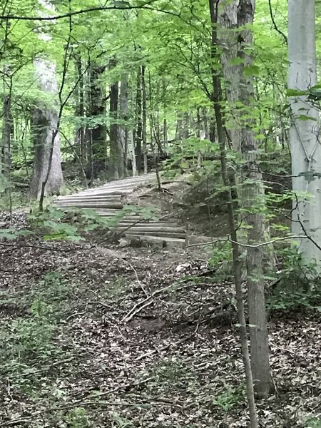 Stairs on Furnace Run Trail