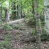 Stairs on Furnace Run Trail