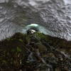 The inside of the ice cave.