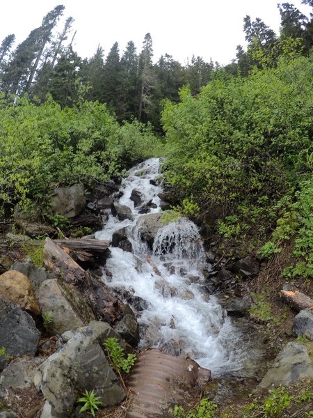 A waterfall just off NF RD 3065.