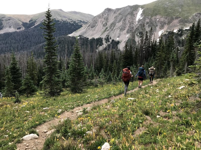 Heading back down the West Branch Trail. Returning to tree cover.