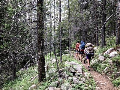 Heading up the West Branch Trail with trailside blueberries keeping the pace slow.