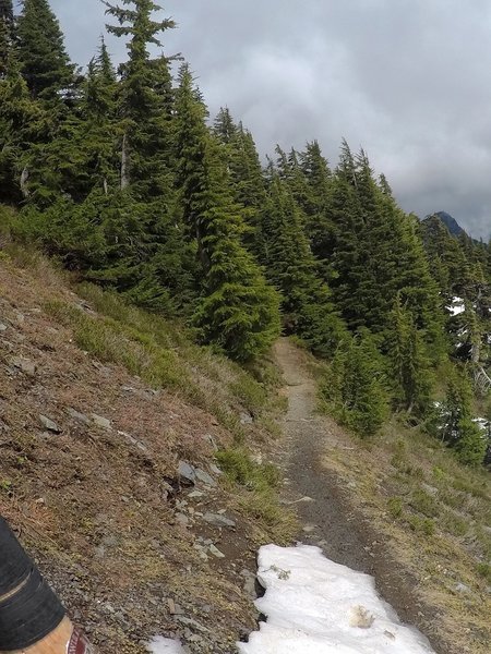 The trail as it fades off into a snow field.