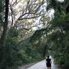 The road portion of the trail that is the alternative to looping back on the dirt path.