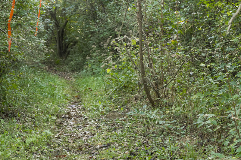 Heading into Campground.