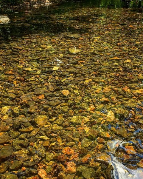 Tanyard Creek Water