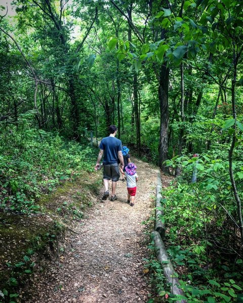 Hiking the trail.