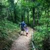 Hiking the trail.