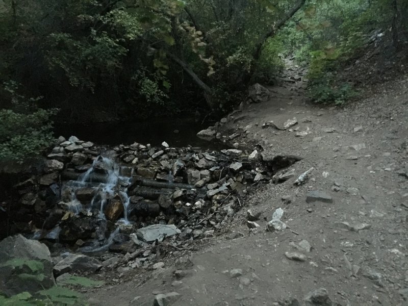 Enjoy the sound of the stream on the way into Deuel Creek canyon.