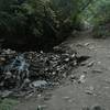 Enjoy the sound of the stream on the way into Deuel Creek canyon.