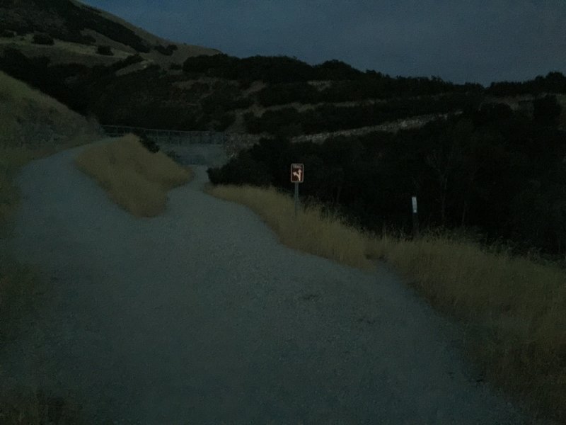 Going left takes you across the dam, right takes you on a fun trail with a bridge, and straight is a dead-end.