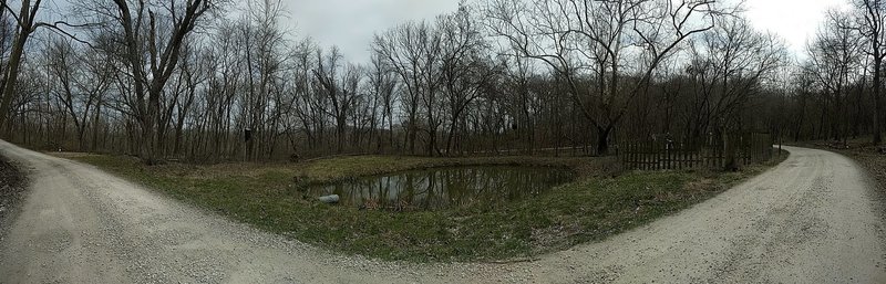 The road does not actually bend, this is a panoramic shot of Walt's Pond.