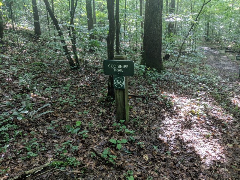 CCC Snipe Trail Marker