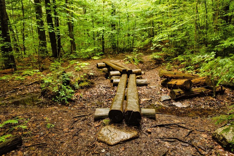 Beginning of the trail, crossing small streams