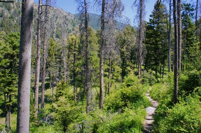 Hiking above North Cottonwood Creek