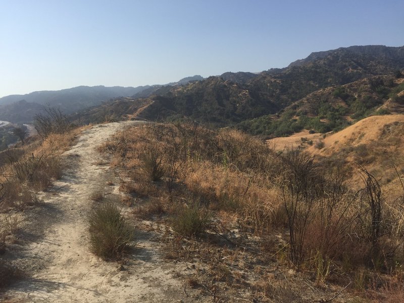 Taylor Trail view of the Towsley Canyon