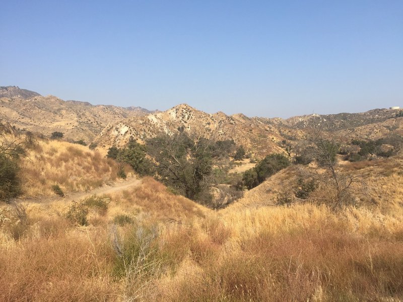 Views along the Taylor Trail