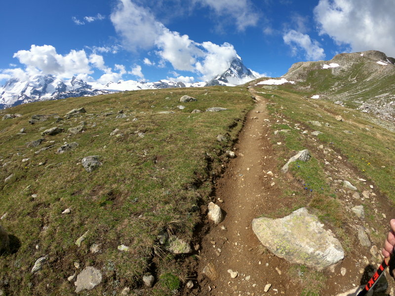 Amazing singletrack with a view!