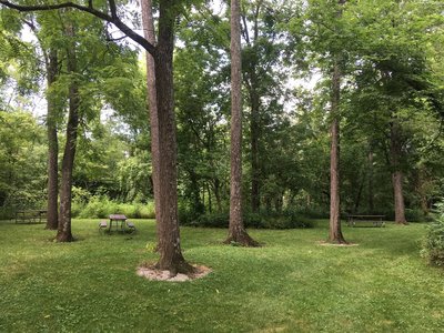 One of the picnic areas in the woods