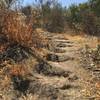 Pico Canyon Park trail - at the 0.5 mile marker, these are the dirt steps (about 340 steps) that lead you up the top of the hill with nice view and great cardio exercise