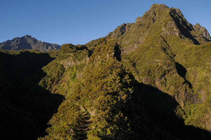 The Narrow ridge on Sentier Scout offers amazing views. Piton des Neiges is to the left.