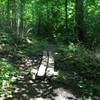 Example of the many creek crossings in the Glen