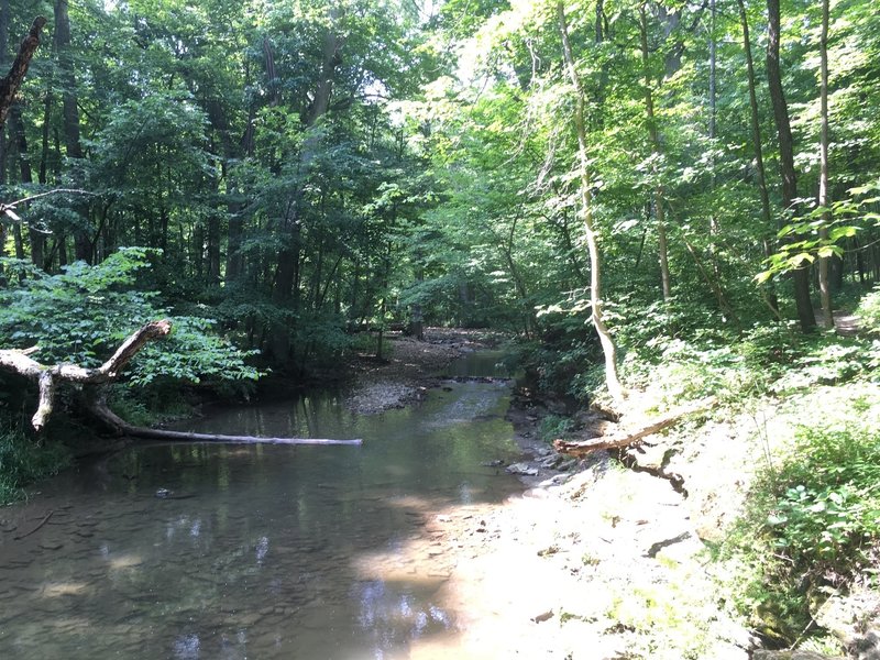 Creek crossing on the Birch Trail