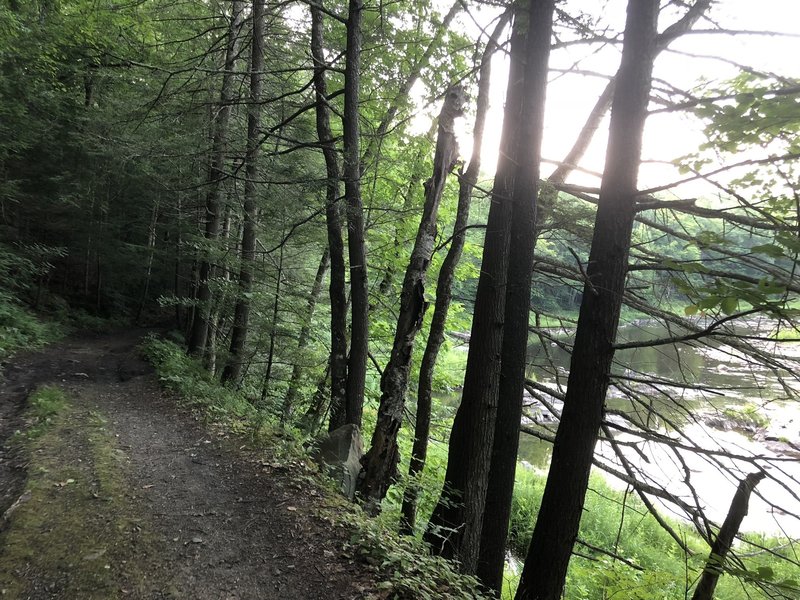 The trail along the river