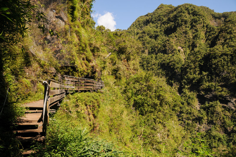 The last sections of boardwalk if you're climbing up Augustave culminate in stairs from which you'll have awesome views down the Bras Bemale ravine