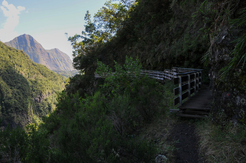 View north towards Piton Cabris and Ilet Aurere with a boardwalk section of trail with the steep plunge to Bras Bemale's ravine