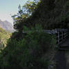 View north towards Piton Cabris and Ilet Aurere with a boardwalk section of trail with the steep plunge to Bras Bemale's ravine