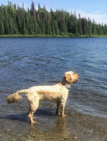 Quinn looking at onto Red Shirt Lake