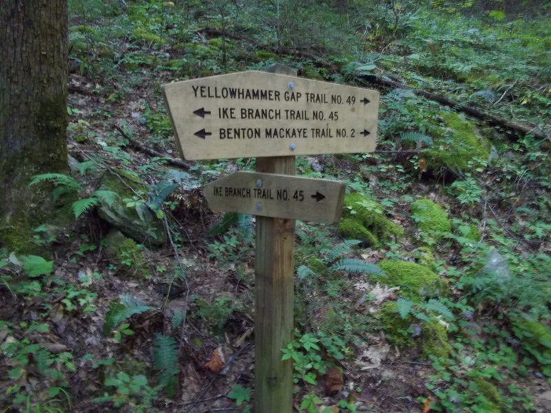 Yellowhammer Gap trailhead on Ike Branch