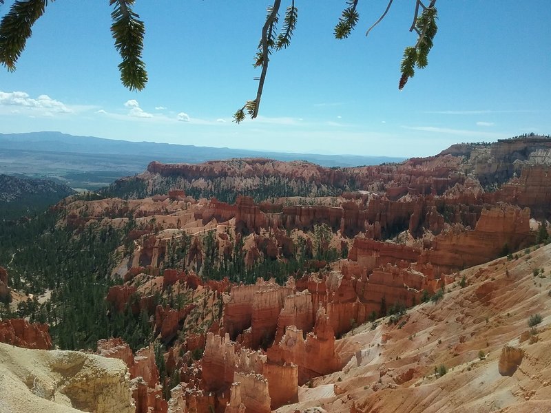 Looking east from the trail