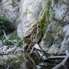 Sturtevant Falls with just a trickle of water