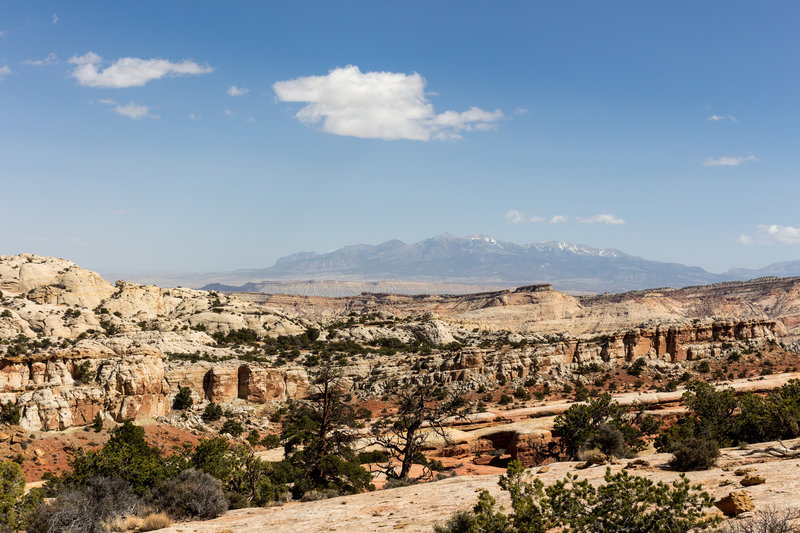 Henry Mountains in front of the Waterpocket Fold