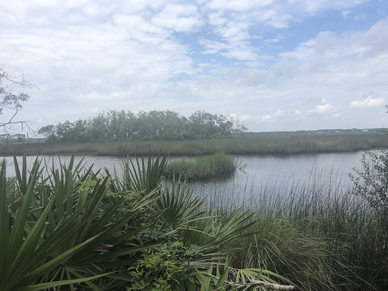 view of the water from the trail