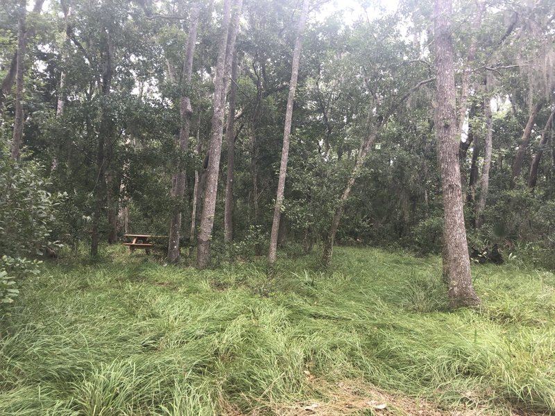 picnic spot along the trail