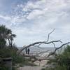 Where the trail opens out onto the beach