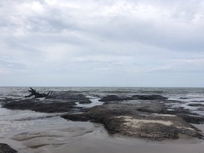 the rocks and ocean